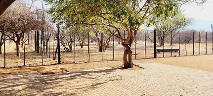 VIVO LODGE