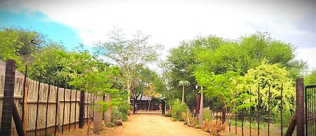VIVO LODGE
