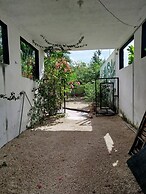Casa Otilia - Hospedaje