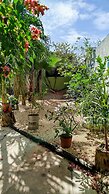 Casa Otilia - Hospedaje