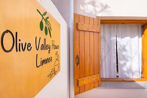 Olive Valley Traditional House