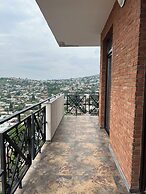 Panorama David