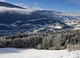 Chalet in Styria With Infrared Sauna
