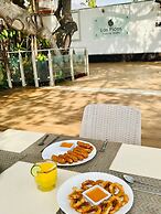 Los Picos Hotel & Suites Bucerias