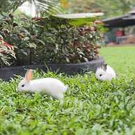 AKAR Hotels & Resort Lampung