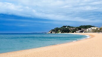 Kistars in Lloret de Mar