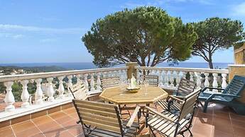 Crisantemo in Lloret de Mar