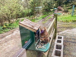 Red Squirrel Haven 2BR House - Sleeps 4 - Parking