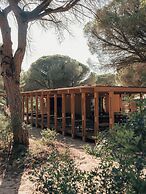 wecamp Cádiz