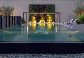 Bloomfields STU Damac Cour Jardin
