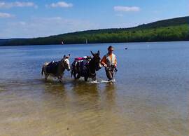 Glamping in Signy-l'abbaye