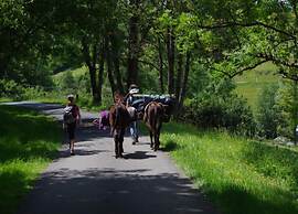 Glamping in Signy-l'abbaye