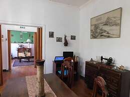 Wind Hostel