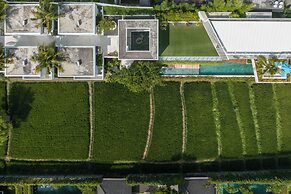 Mandala Oasis