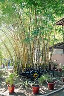 Wilderness camp Resort Pench