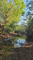 Madhuvan Retreat Resort Amba