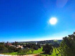 Lagos High Point Nature 1 by Homing