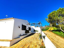 Lagos High Point Nature 2 by Homing