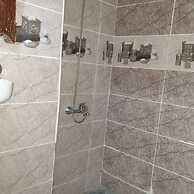 aline hostel