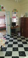 aline hostel