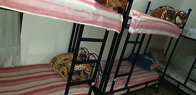 aline hostel