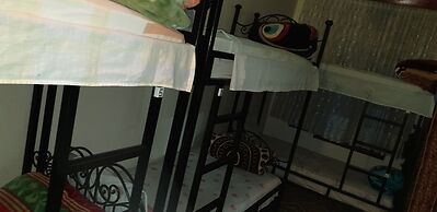 aline hostel
