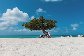 Aruba's Life 111