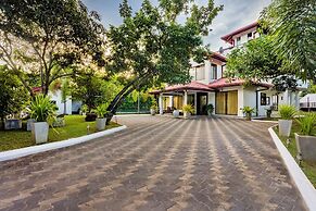 ThiThi's Palace