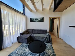 Apartment in Krkonose With Mountain Views