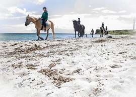 Coastal Escape on Fehmarn Island