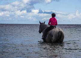 Coastal Escape on Fehmarn Island