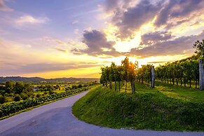 Vipava River Retreat