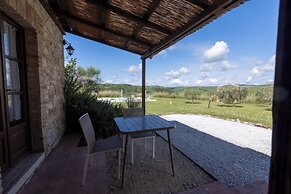 Corbezzolo