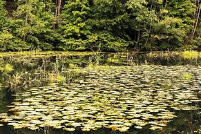 WaldesRuh am See