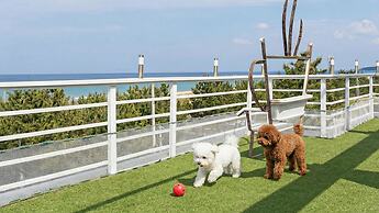 Yangyang Bono Pet-friendly Pension