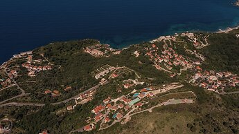 Olive Resort