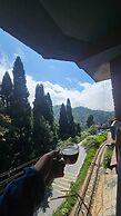 Cafe & Stay