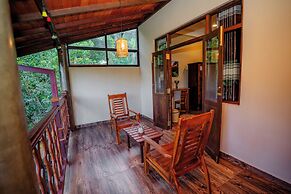 The jungle view