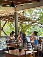 The jungle view