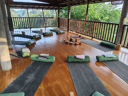 The jungle view
