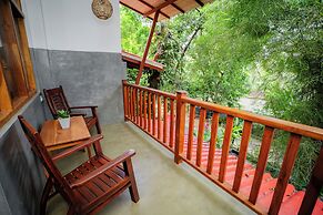 The jungle view