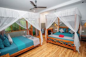 The jungle view