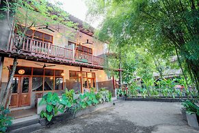 The jungle view