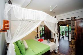 The jungle view