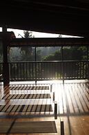 The jungle view