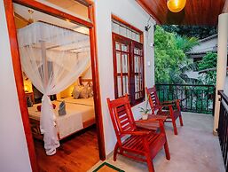 The jungle view