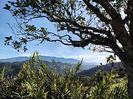 Bhoga Forest Orosi