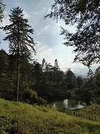 Bhoga Forest Orosi