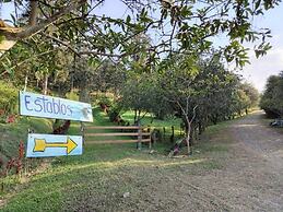 Bhoga Forest Orosi