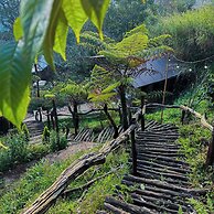 Dong Homestay
